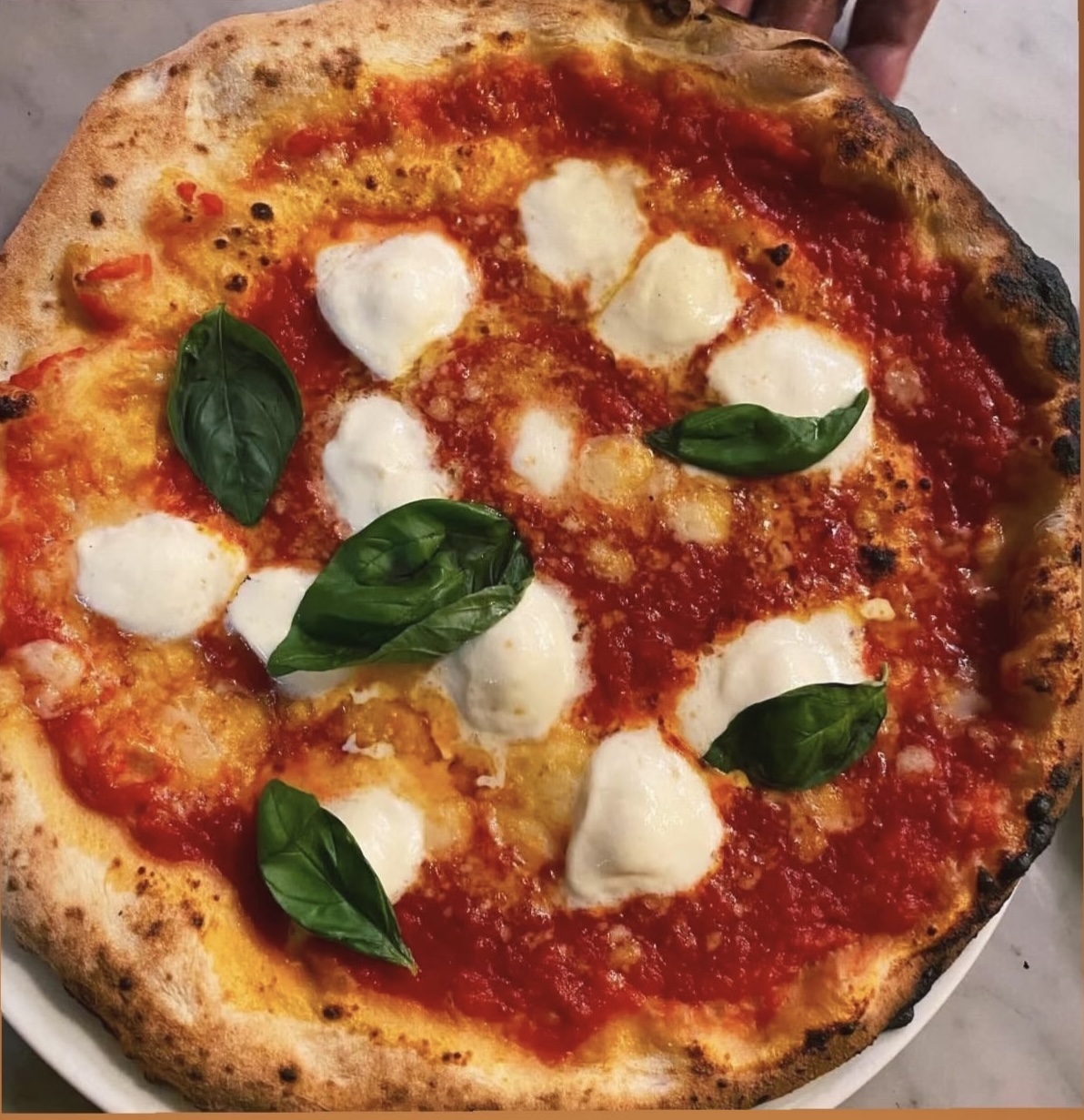PIZZA CILENTANA SBAGLIATA